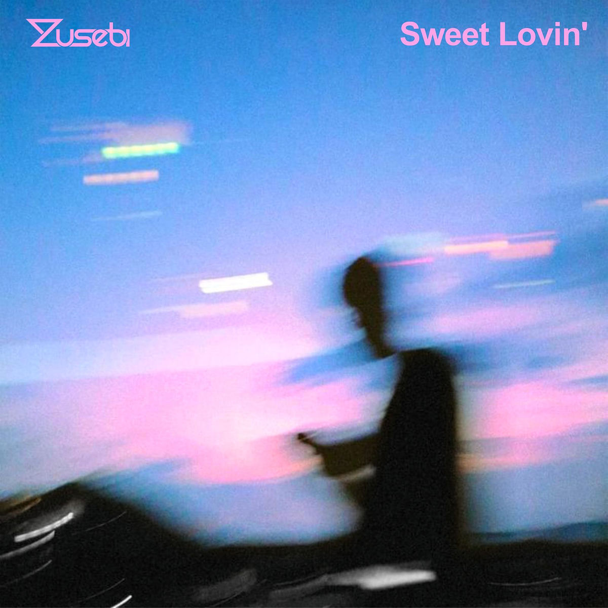 Album cover of Sweet Lovin'