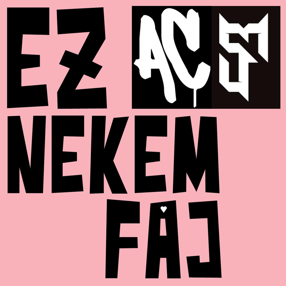 Animal Cannibals & Siska Finuccsi – Ez nekem fáj borító