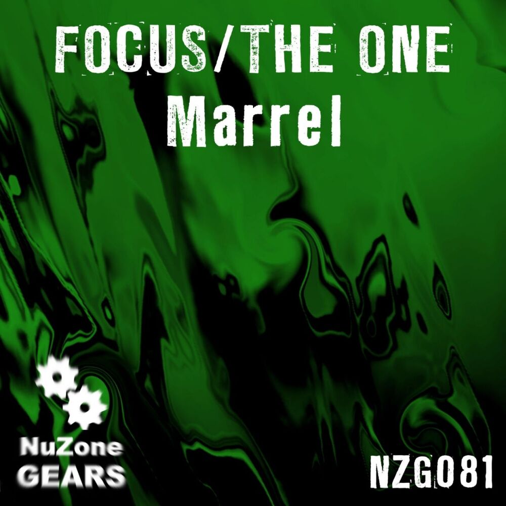 Picture of Focus / the One