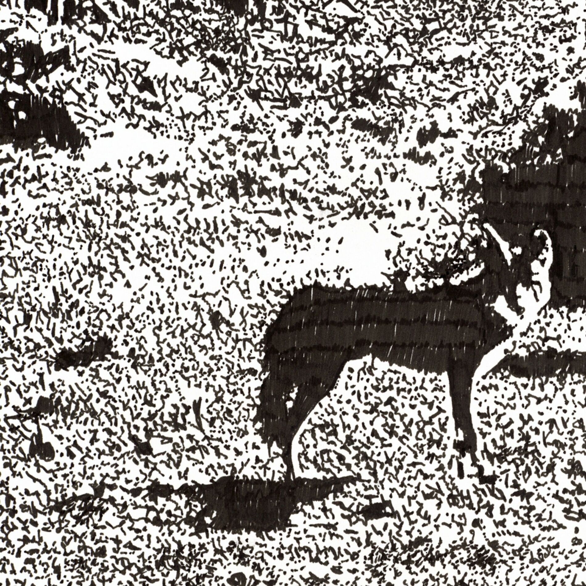 Album cover of Henry Rode