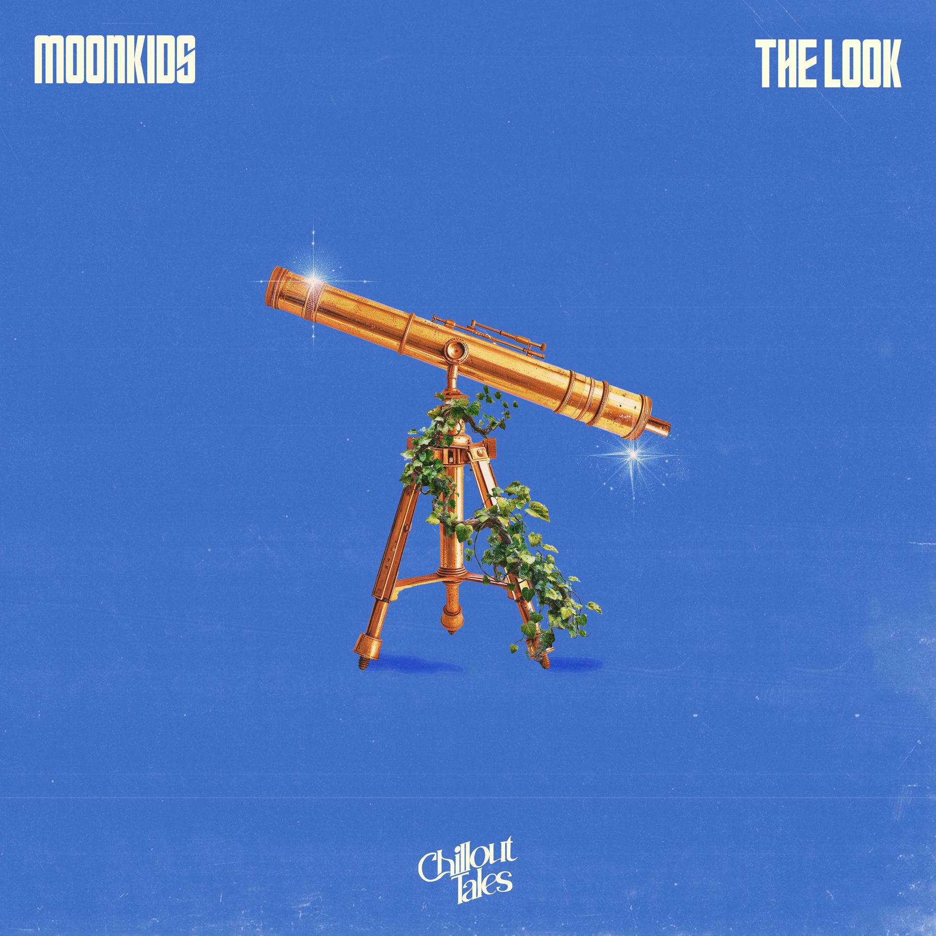 Album cover of The Look