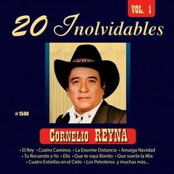 Cover of 20 Inolvidables, Vol. 1