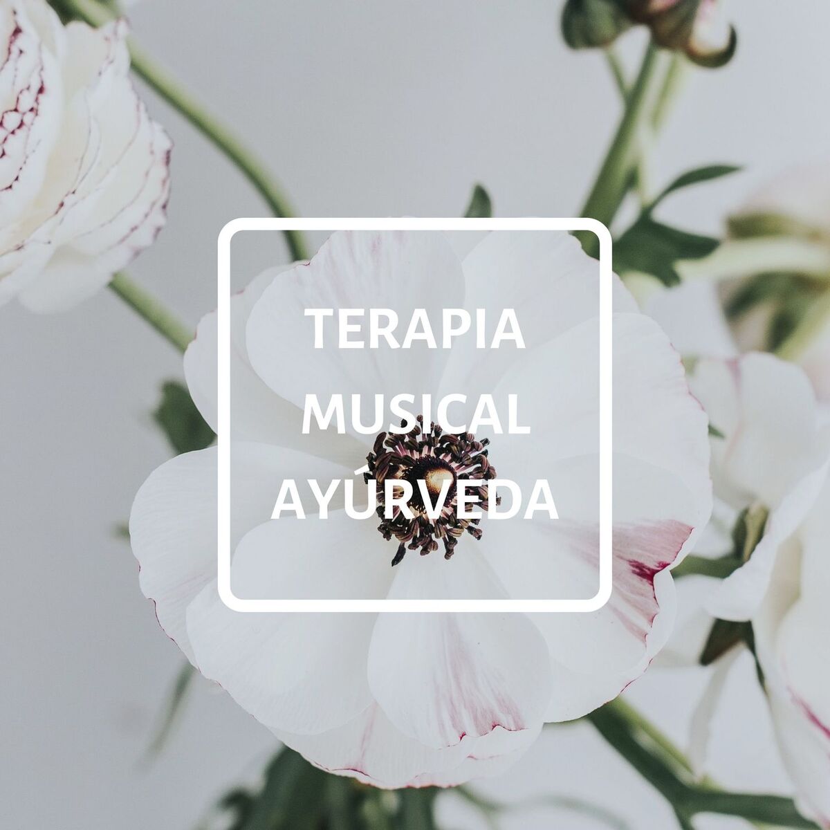 Album cover of Terapia Musical Ayúrveda: Música para Técnicas de Relajación Mental y Corporal