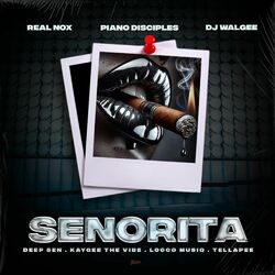 Cover of Senorita (feat. Tellapee, DJ Walgee, Piano Disciples & Locco Musiq)