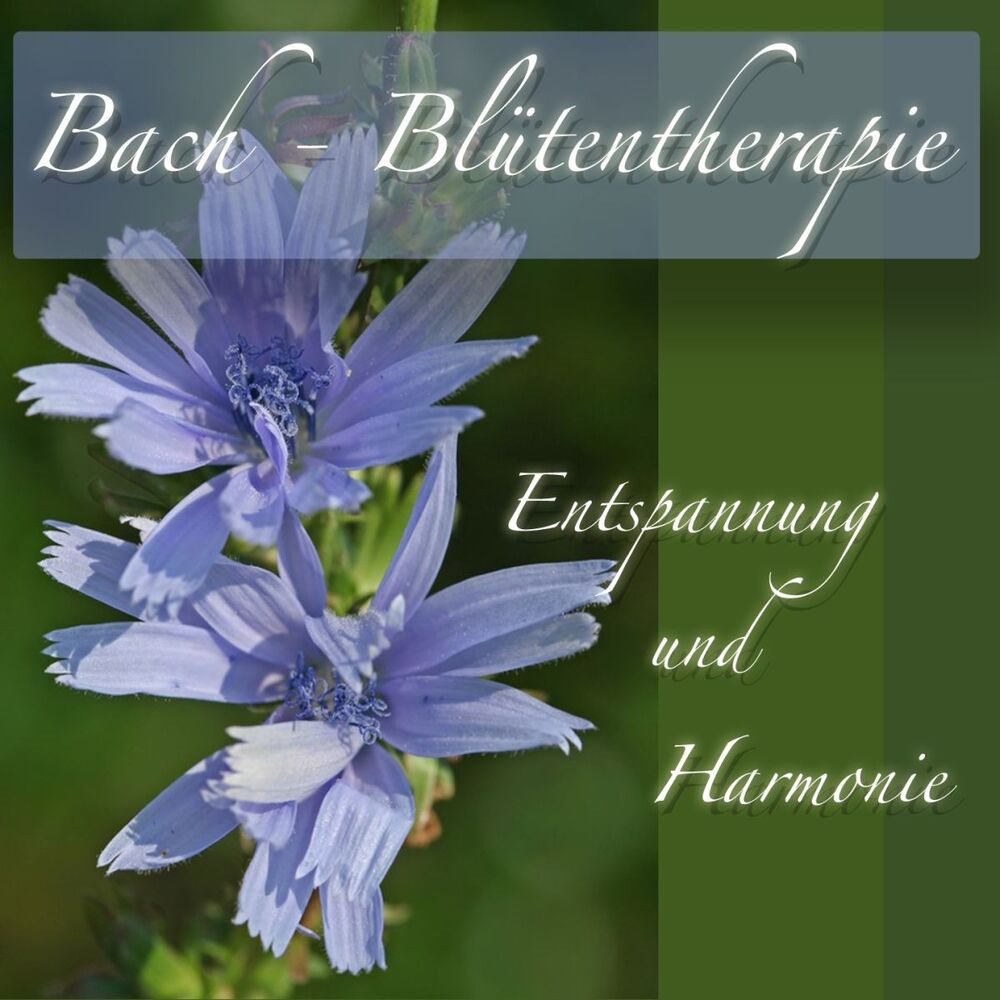 Picture of Bach Blütentherapie Entspannung und Harmonie