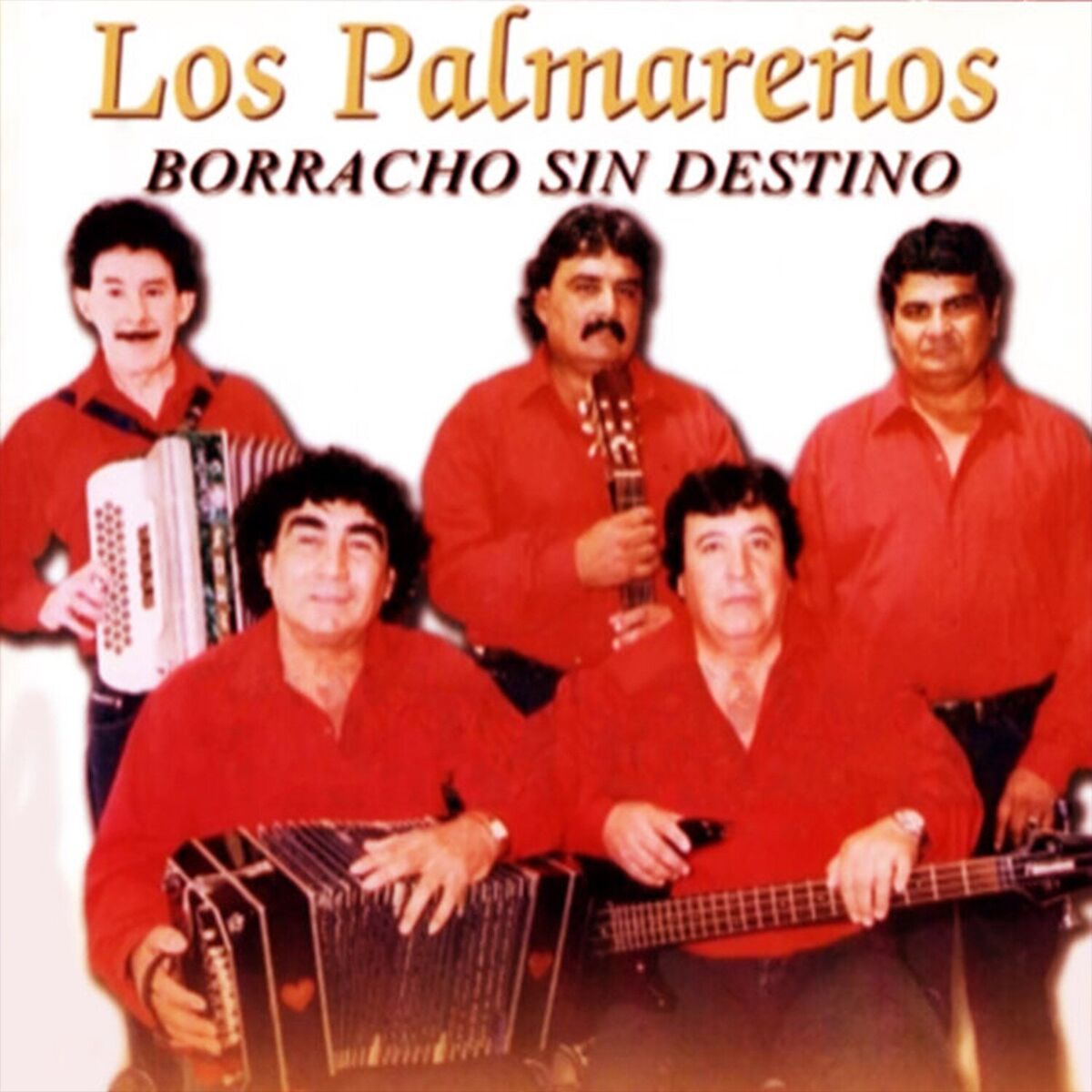 Album cover of borracho sin destino