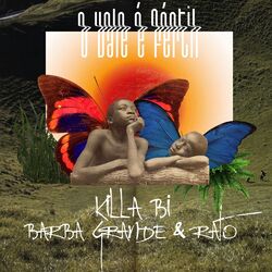 Cover of O Vale É Fértil
