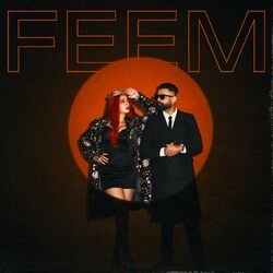 Cover of FEEM