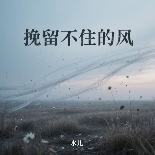 挽留不住的风
