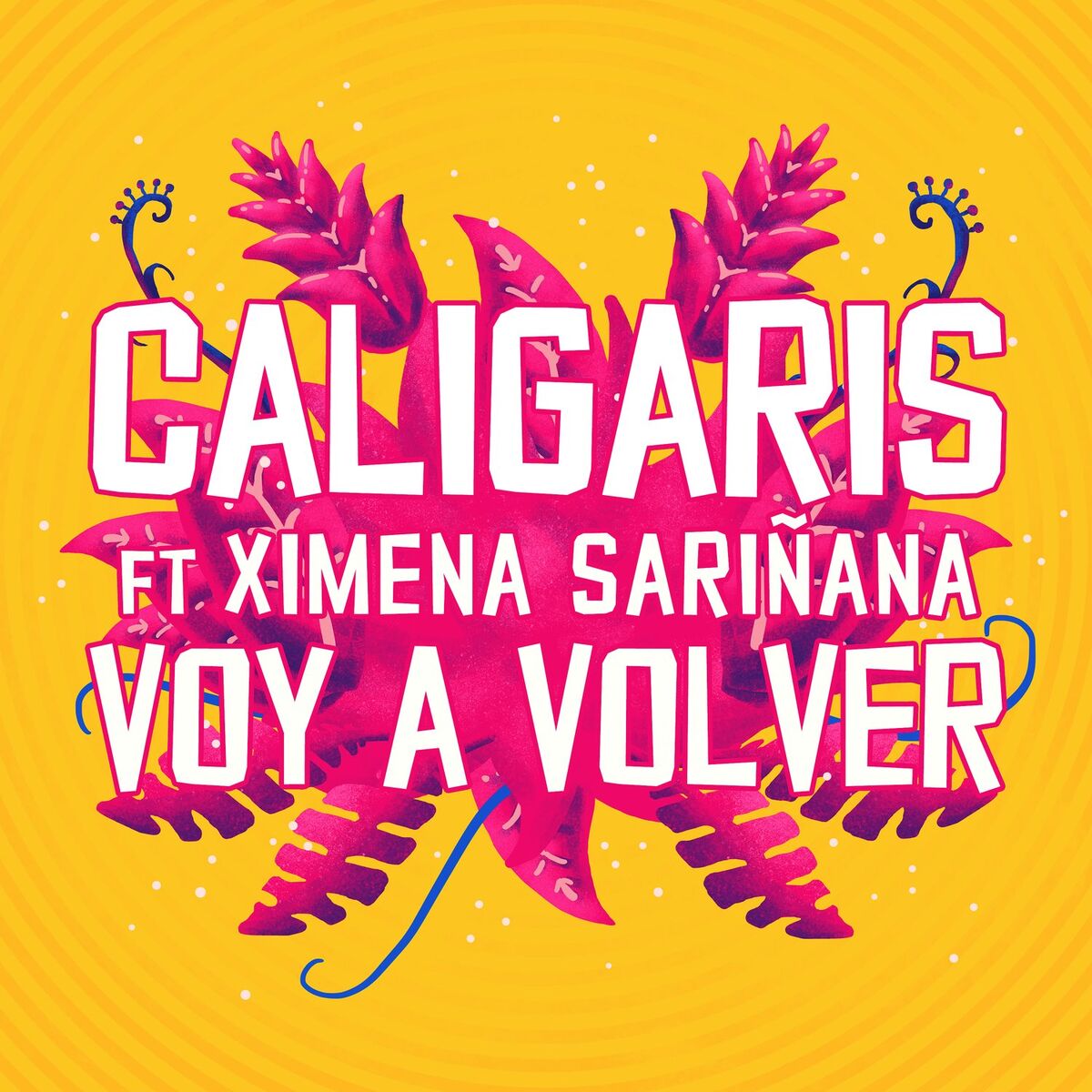 Album cover of Voy a Volver