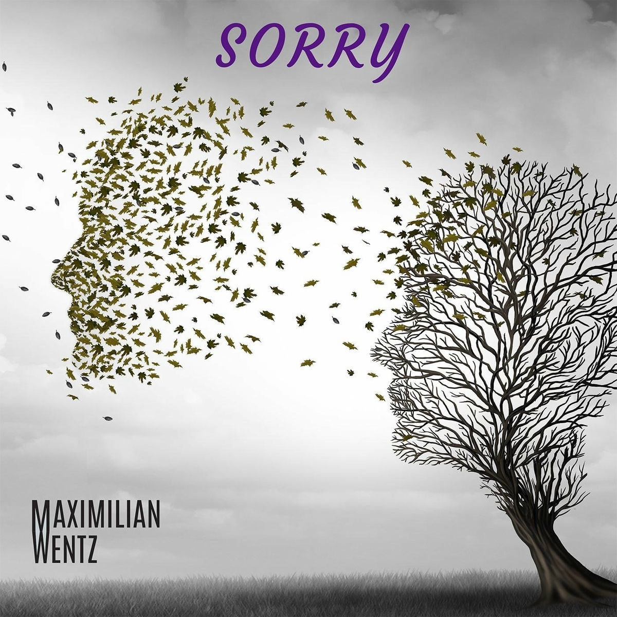 Album cover of Sorry