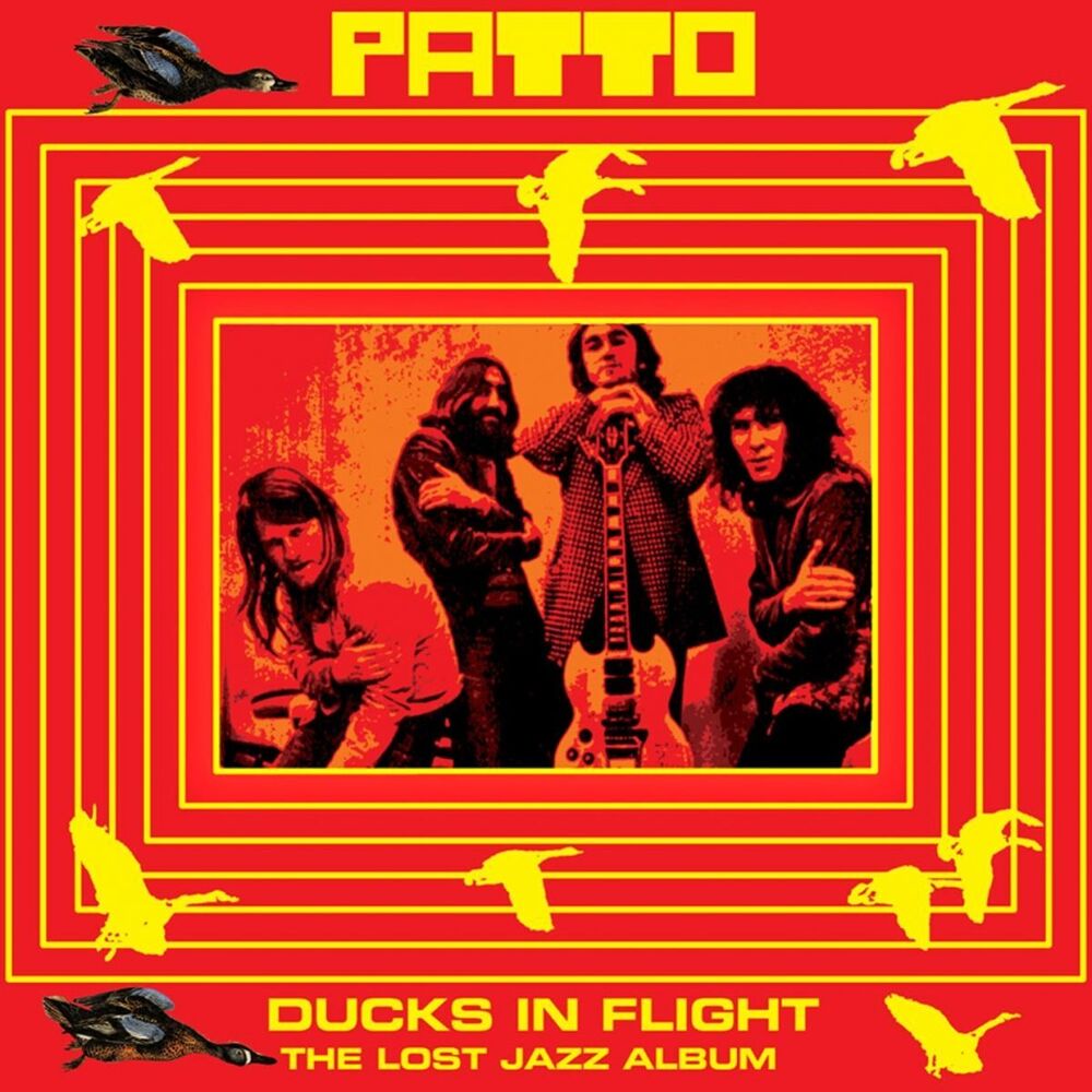 Picture of Ducks In Flight