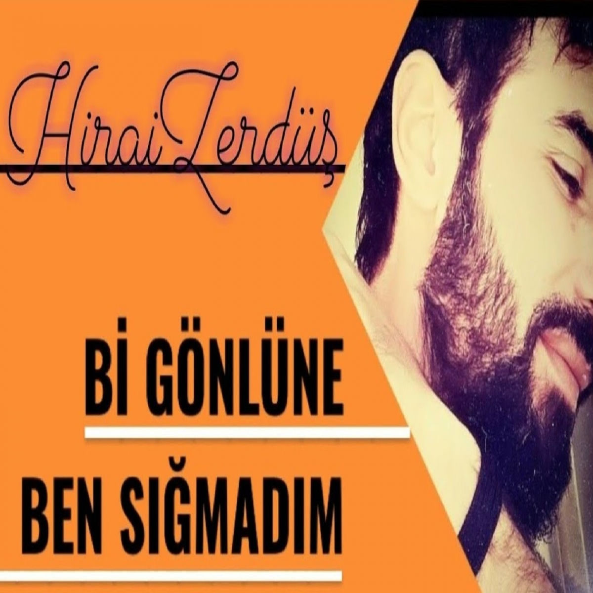 Album picture of Bi Gönlüne Ben Sığmadım