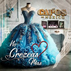 Cover of No Crezcas Más
