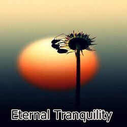 Cover of Eternal Tranquility