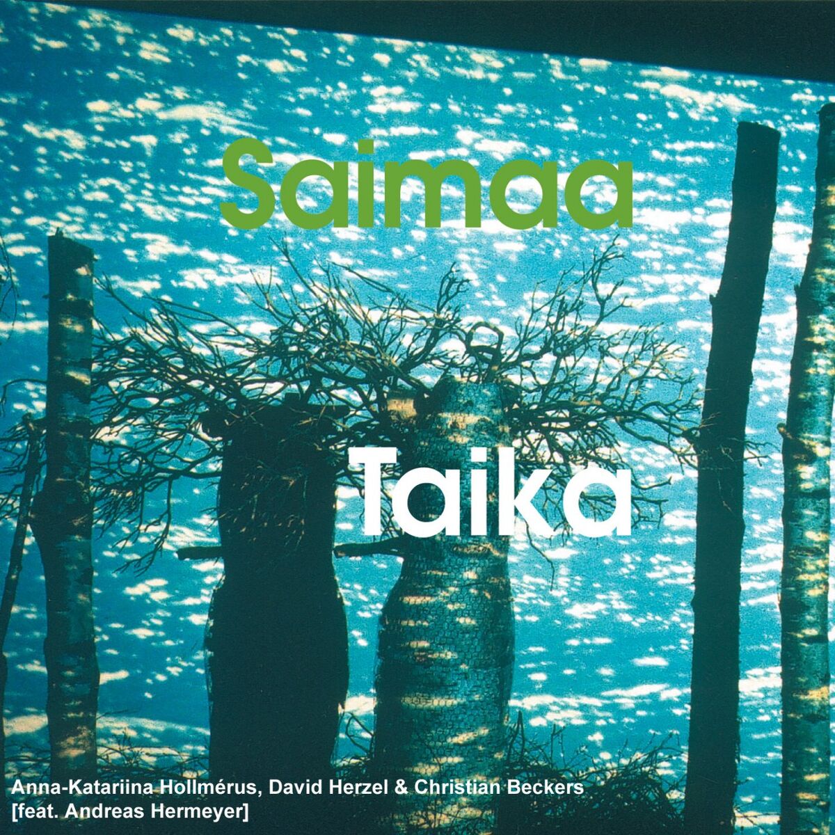 Album cover of Taika