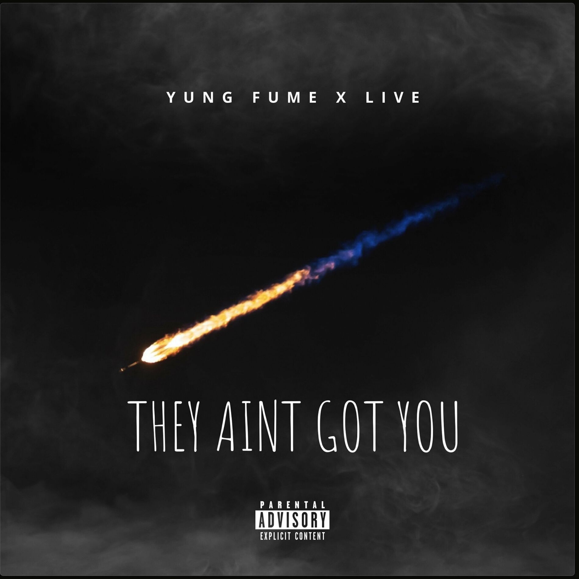 Album cover of They Ain't Got You