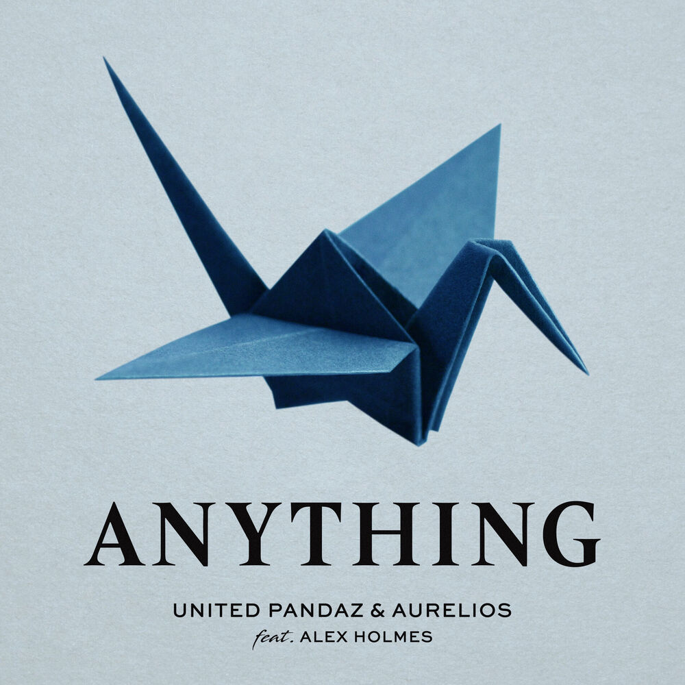 Picture of Anything