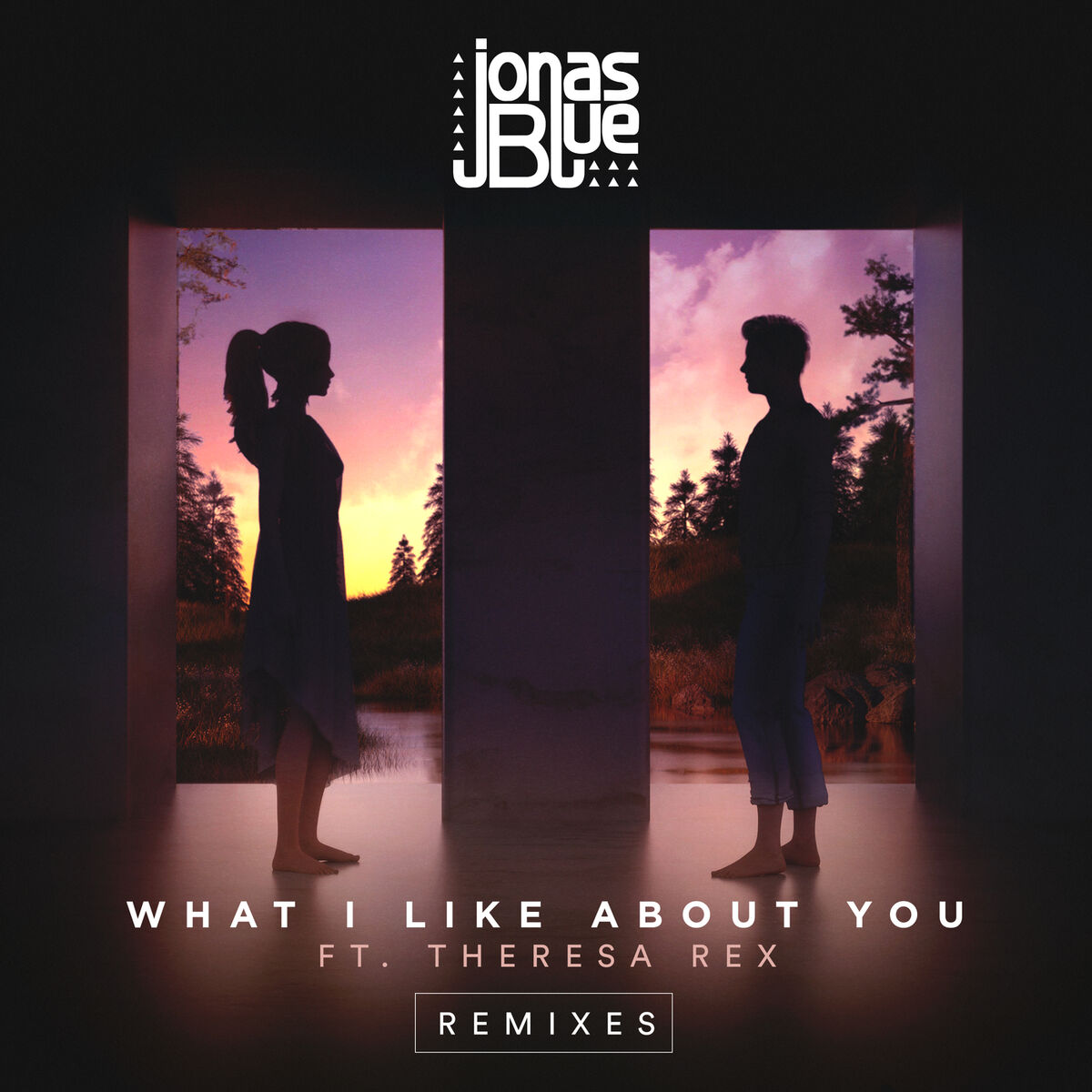 Album cover of What I Like About You