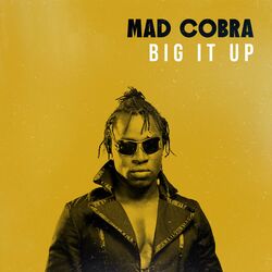 Cover of Big It Up