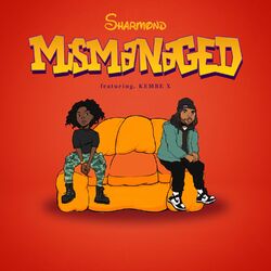Cover of Mismanaged