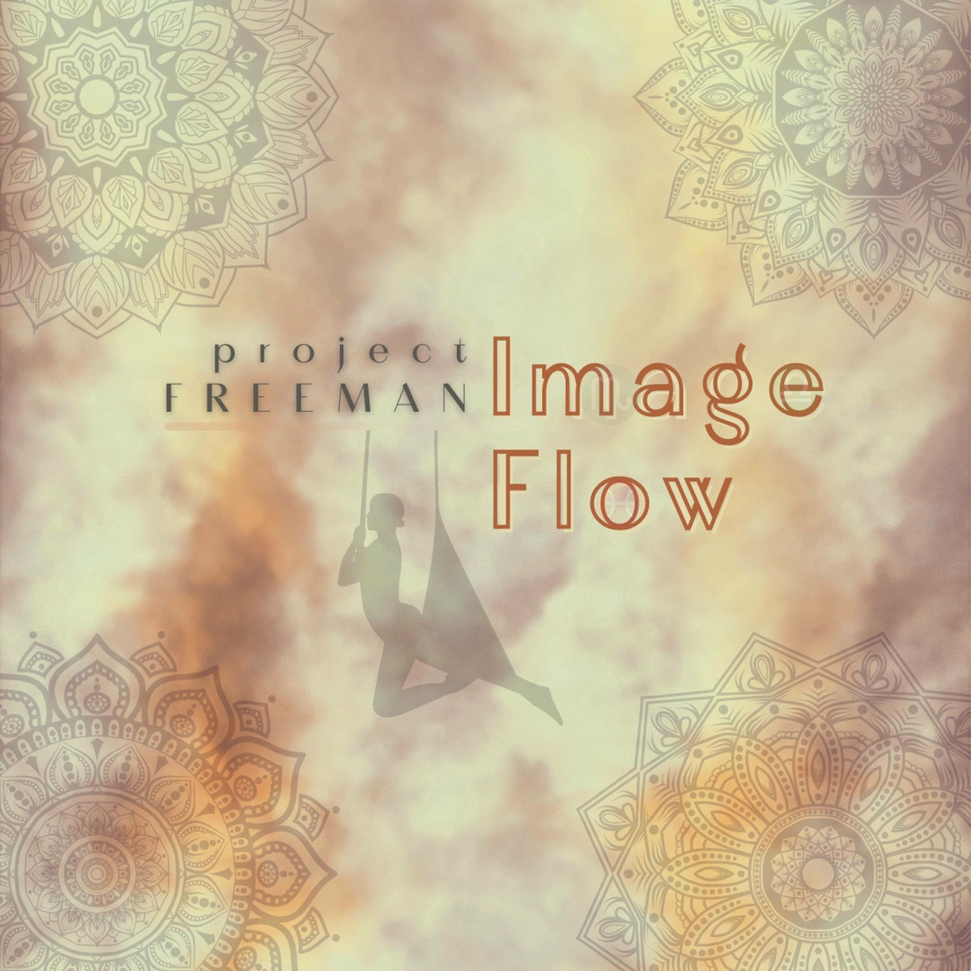 Album cover of Image Flow