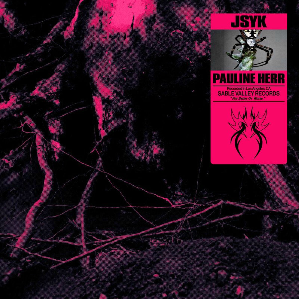 Album cover of JSYK