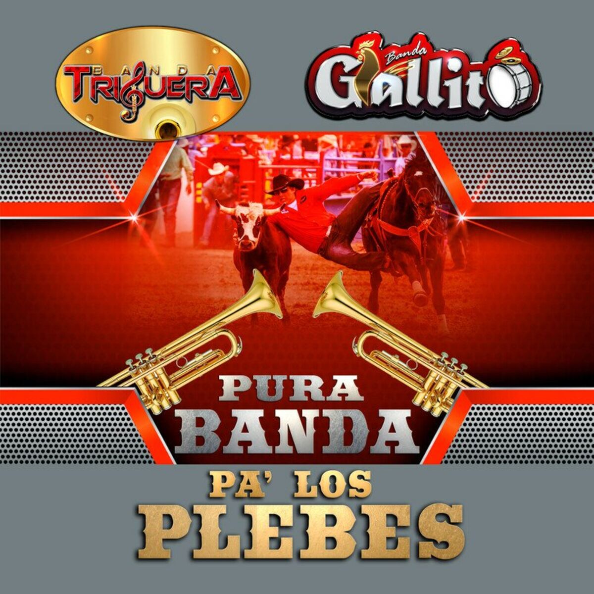 Album cover of Pura Banda Pa' Los Plebes (Banda)