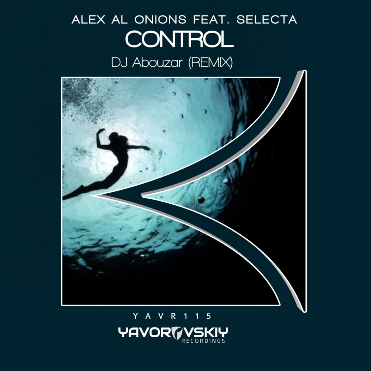 Album cover of Control (DJ Abouzar Remix)