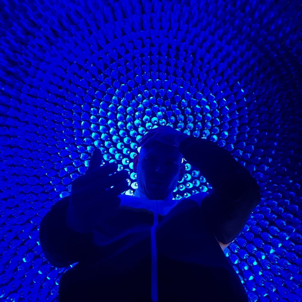 Album cover of Dies/Das
