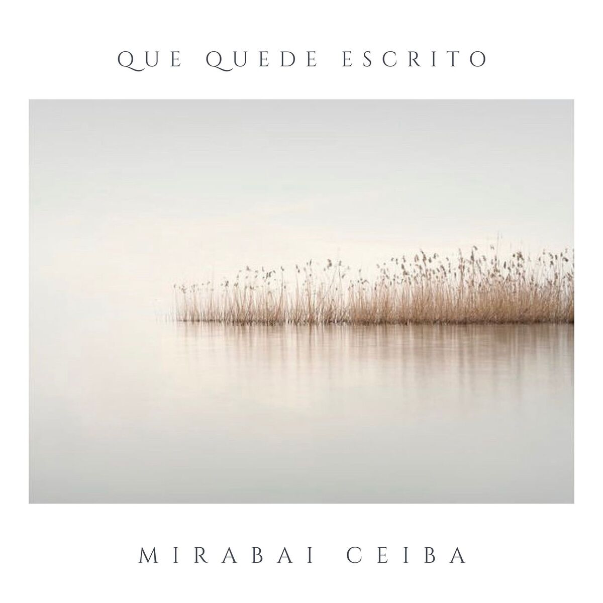 Album cover of Que Quede Escrito