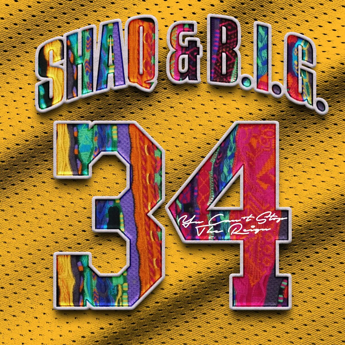 Album cover of You Can't Stop The Reign (feat. The Notorious B.I.G.)
