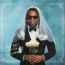Cover of Tu Te Maries Quand?