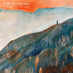 Cover of Walking up the hill