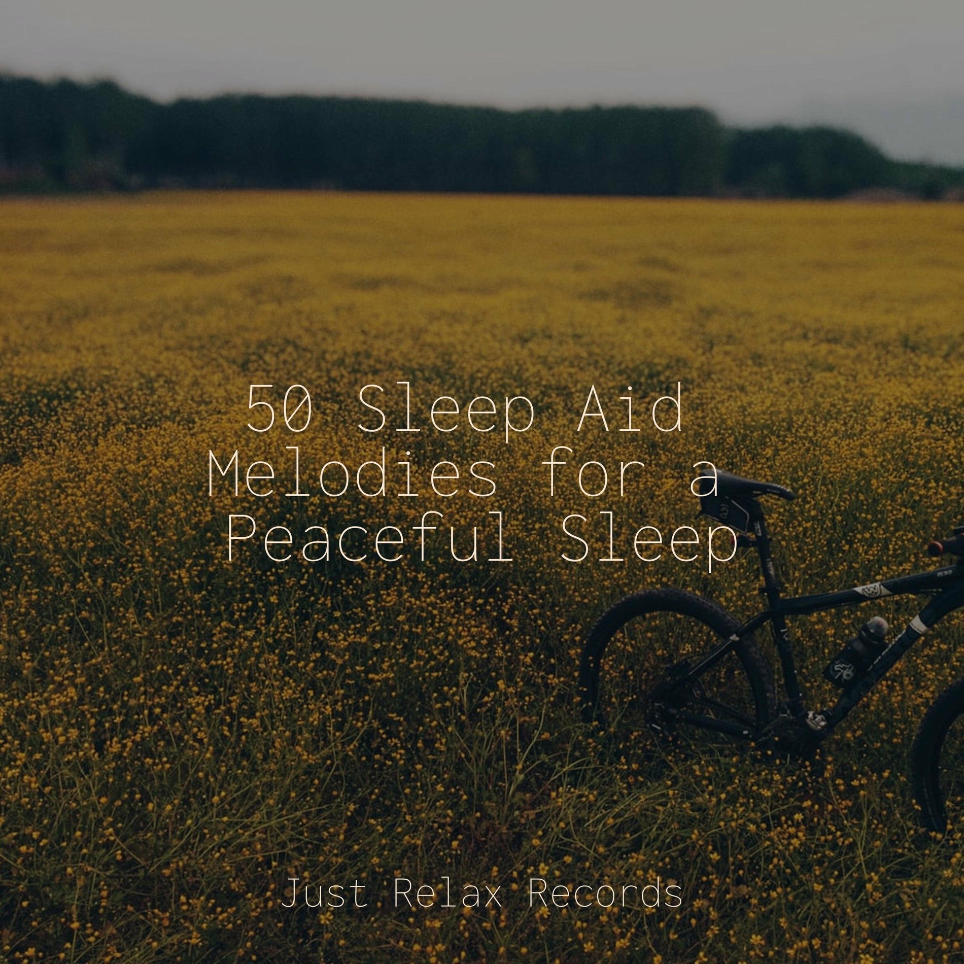 Album cover of 50 Sleep Aid Melodies for a Peaceful Sleep