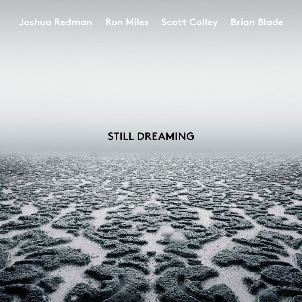Picture of Still Dreaming (feat. Ron Miles, Scott Colley & Brian Blade)