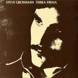 Cover of Terra Firma