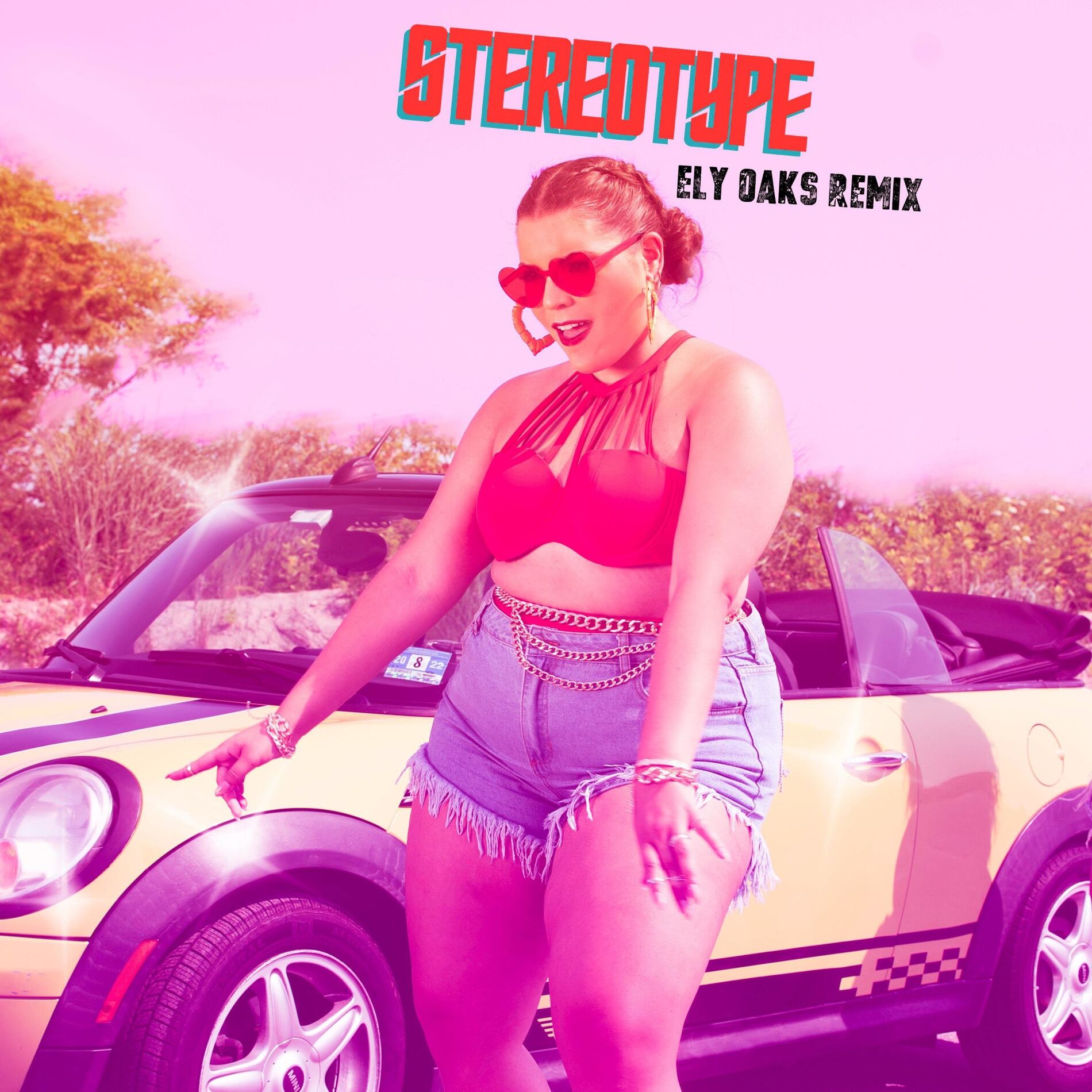 Album cover of Stereotype (Ely Oaks Remix)