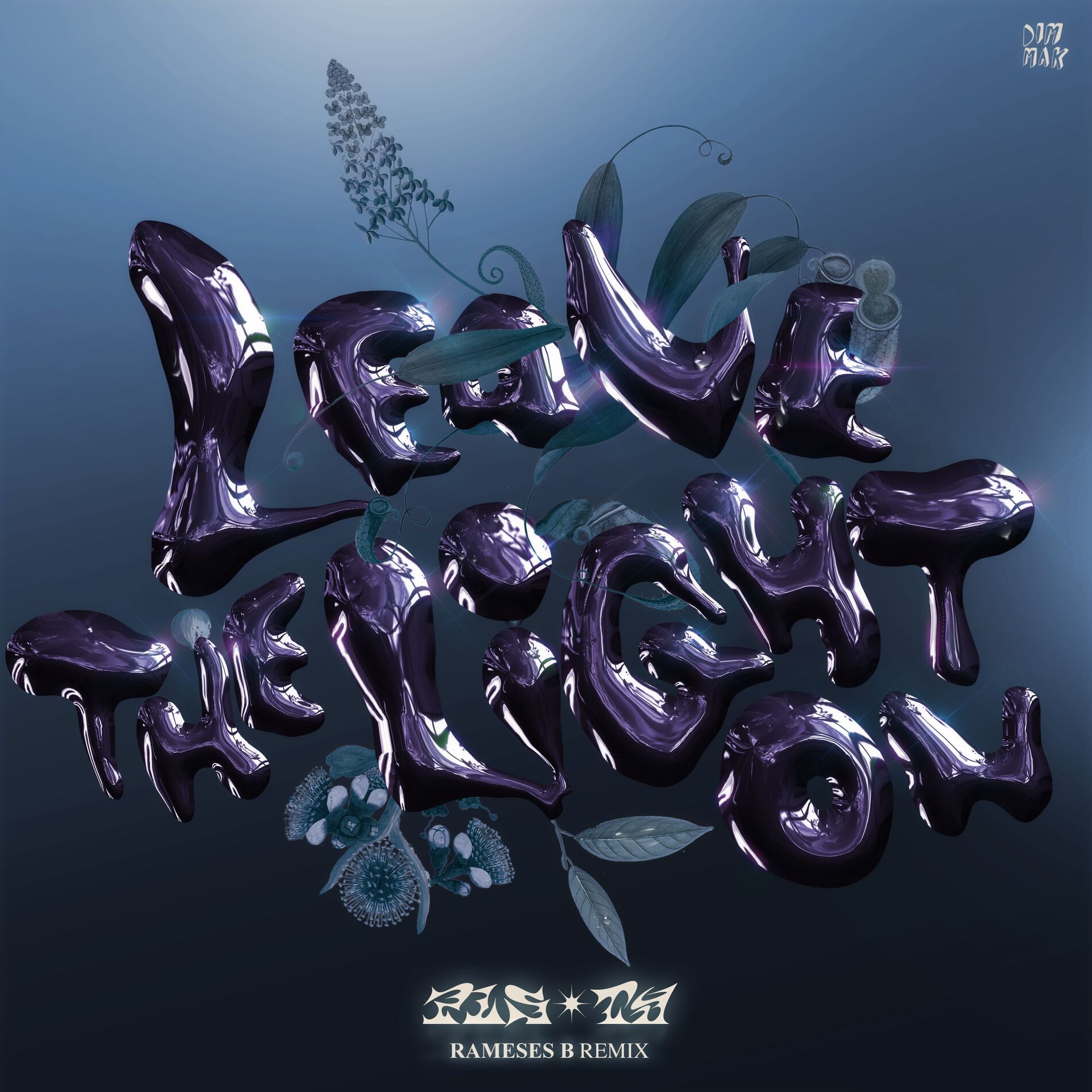 Album cover of Leave The Light On (Rameses B Remix)