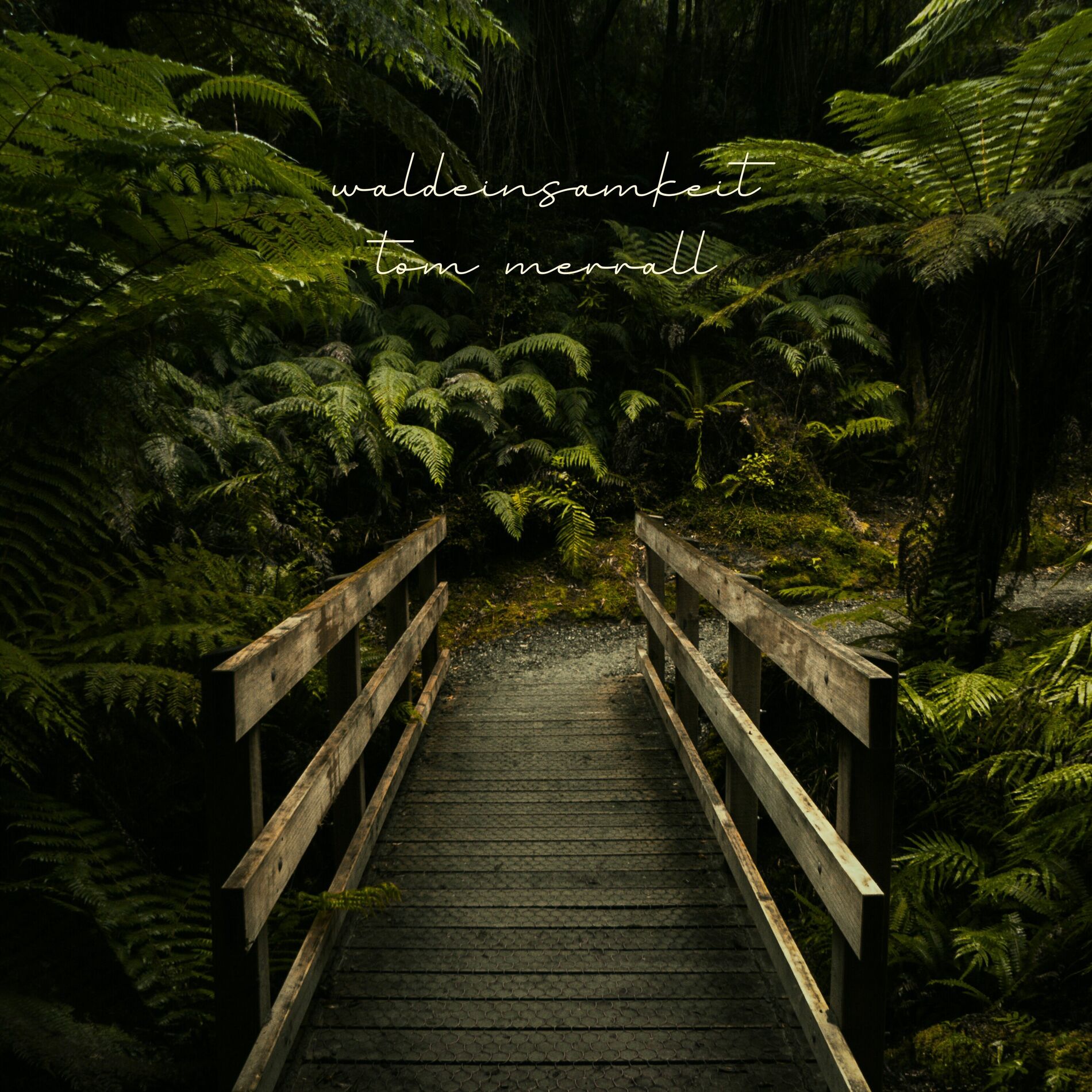 Album cover of Waldeinsamkeit