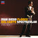 I Puritani / Act 3 : Bellini: I Puritani / Act 3: Fini...me lassa!...Vieni, fra queste braccia! by Anna Netrebko album cover