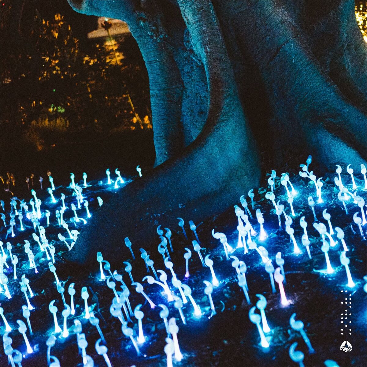 Album picture of Night Glow
