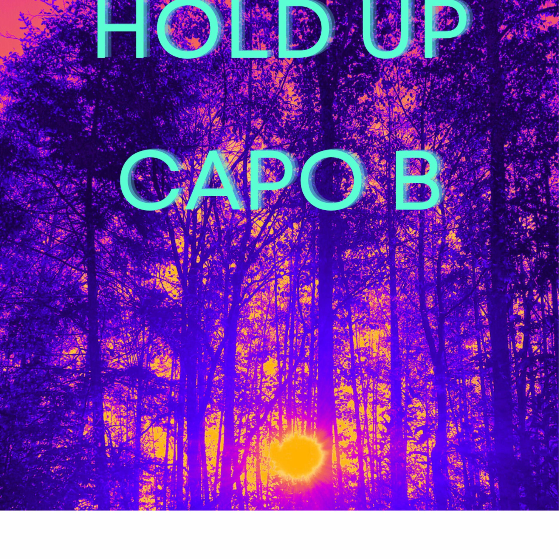 Album cover of HOLD UP
