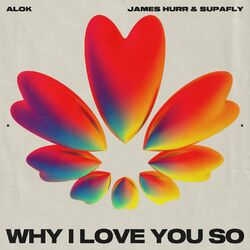 Cover of Why I Love You So