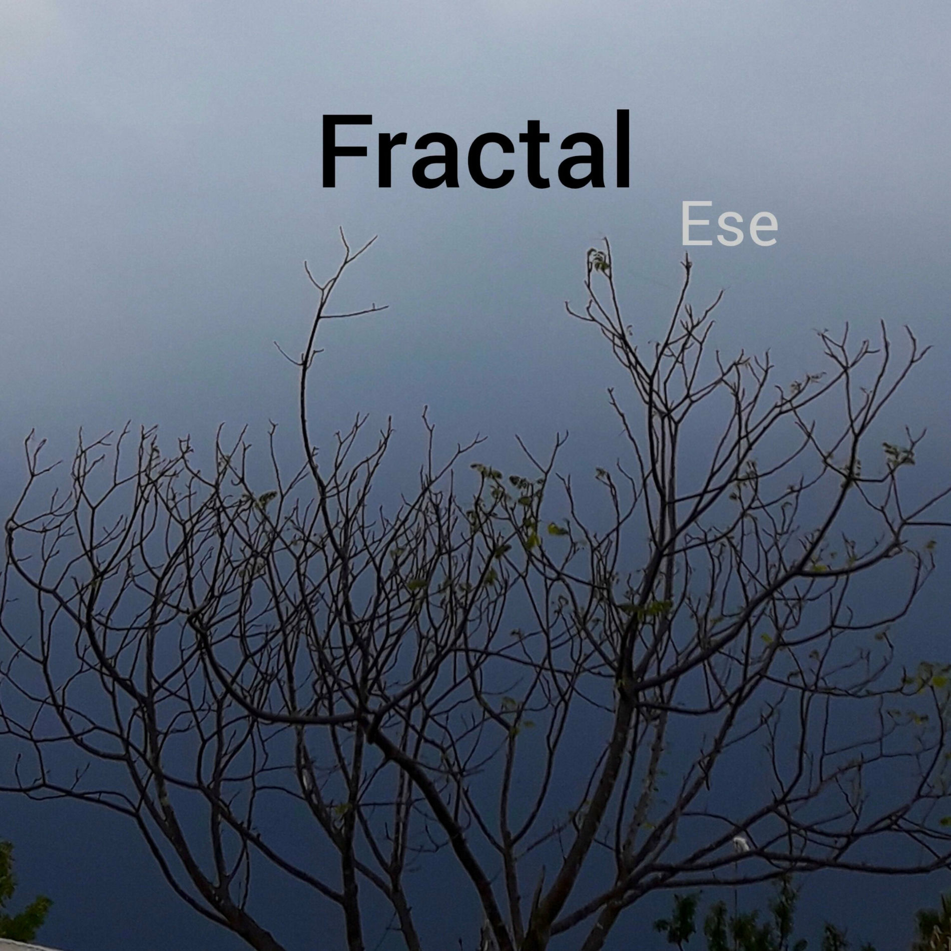 Album cover of Fractal