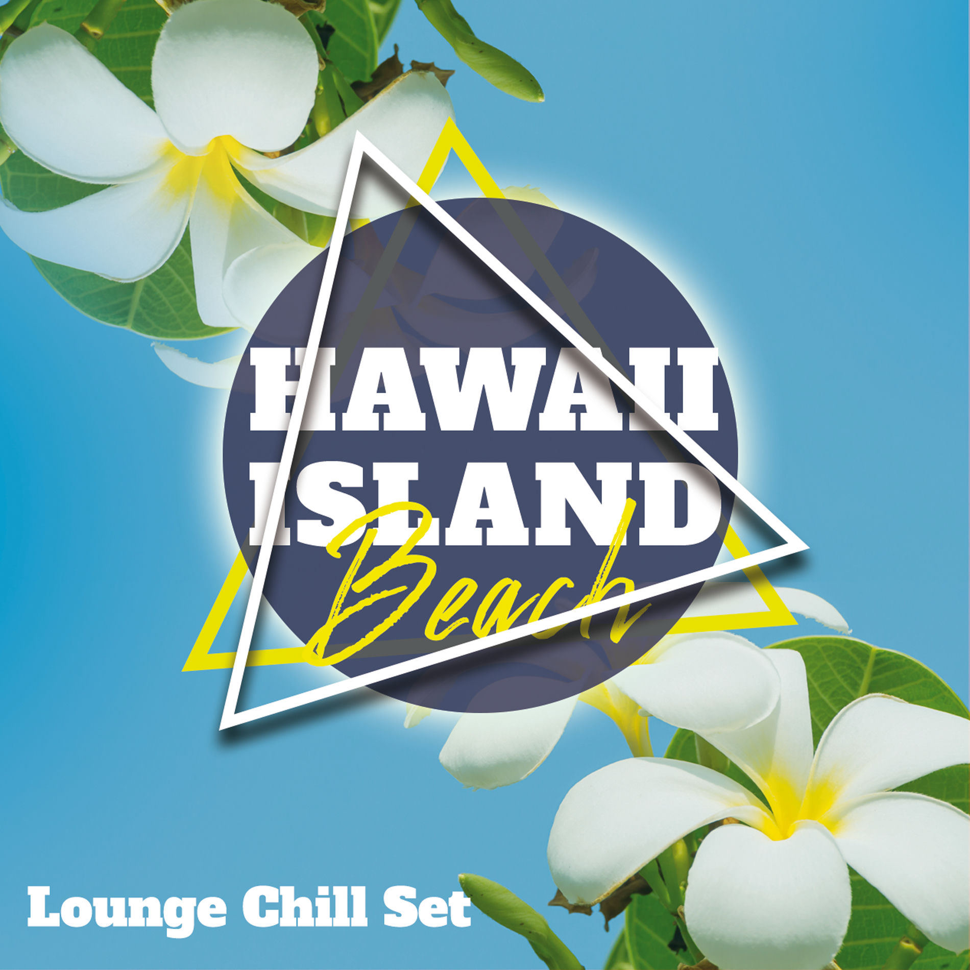 Album cover of Beach Music