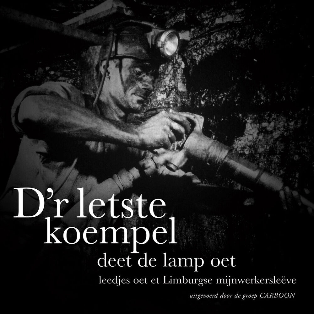 Picture of D'r Letste Koempel
