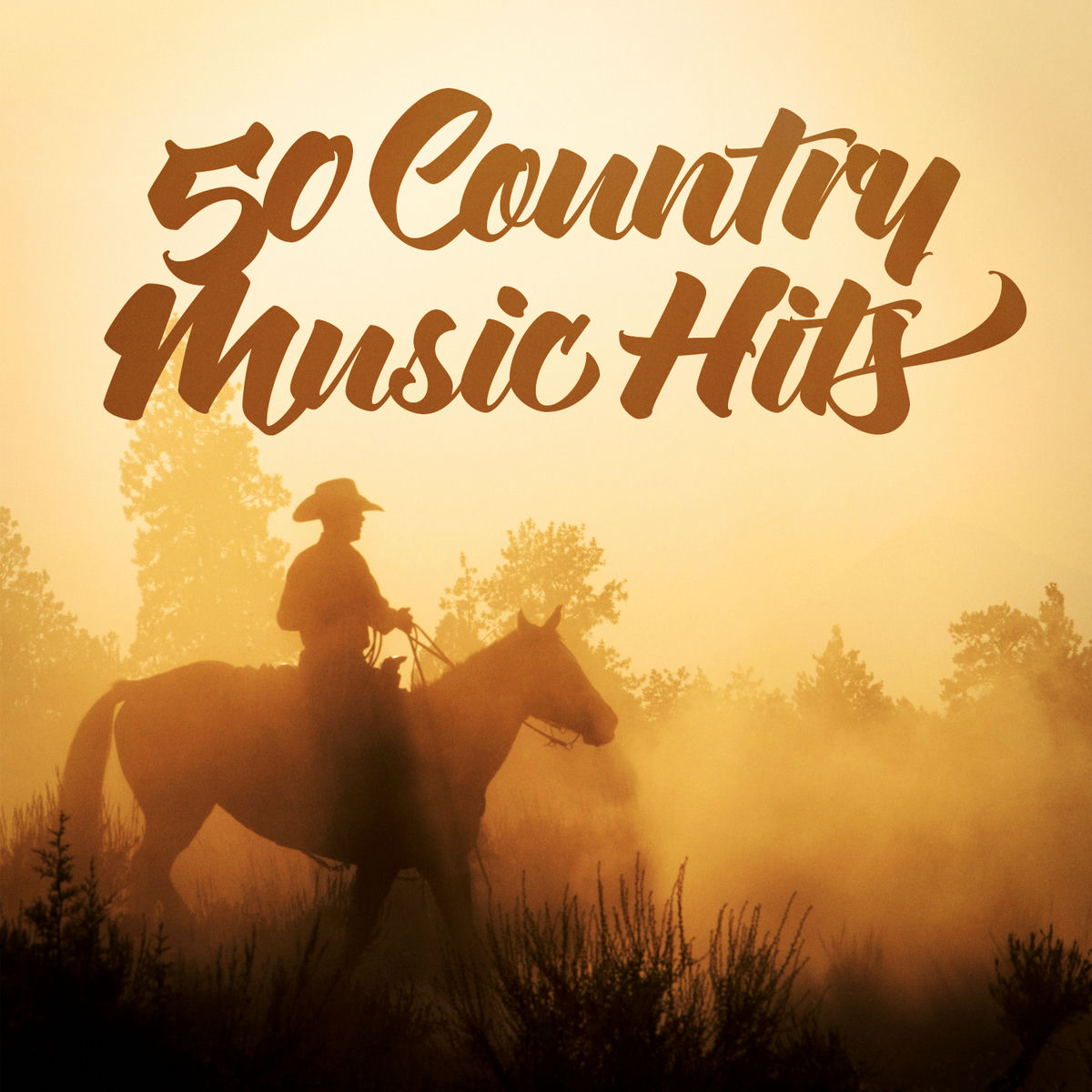 Album cover of Dirt Road Anthem