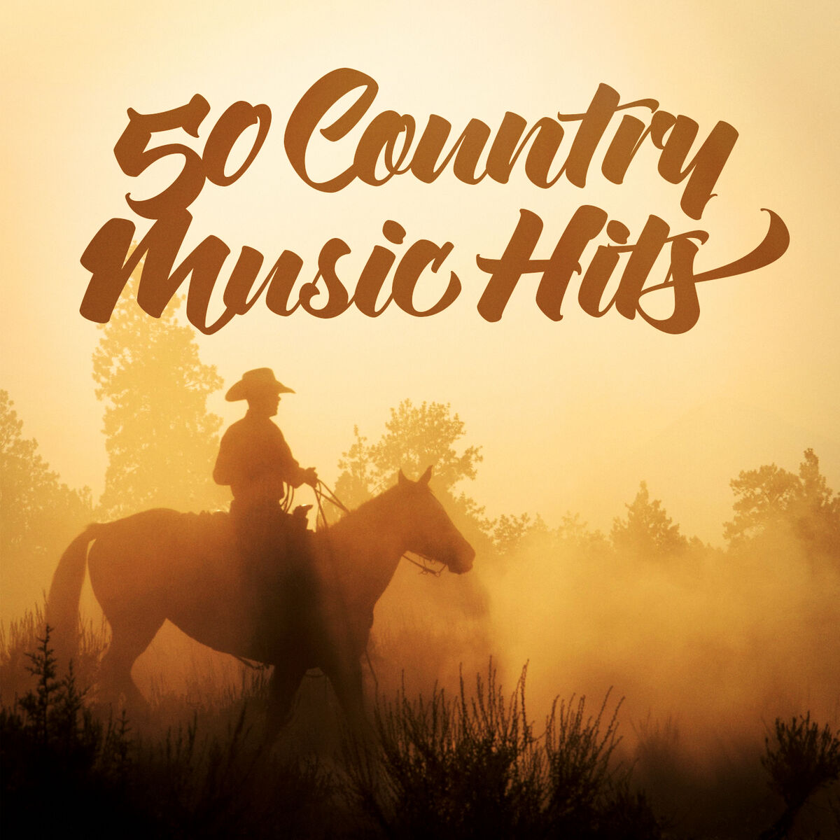 Album cover of 50 Country Music Hits and Classics (The Best Country Music Hits from the 90s and 00s)