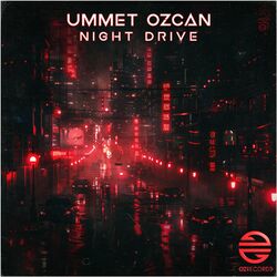 Cover of Night Drive